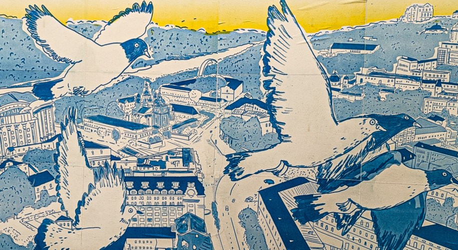 Pigeons in flight over a city